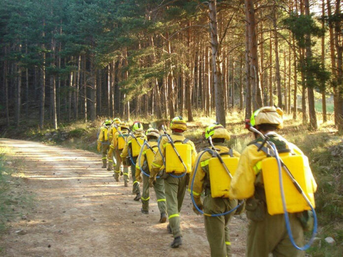 Día Mundial De Los Guardas Forestales 03442 Noticias 7523