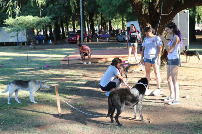 AMIGOS-DEL-REFUGIO-PERROS-E