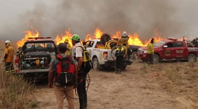incendio-corrientes-2