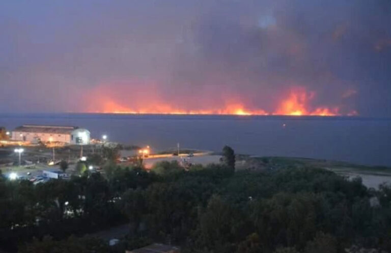 El humo de incendios en el delta del Paraná afecta otra vez a CABA ...