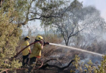 Foto gentileza Bomberos Voluntarios C. del Uruguay