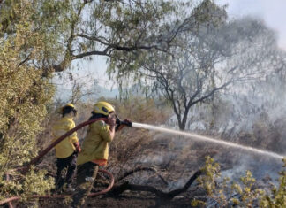 Foto gentileza Bomberos Voluntarios C. del Uruguay