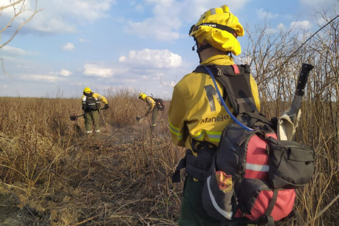incendio delta