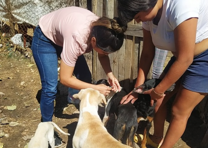 Screenshot_20240423-131843~2