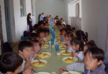 El STJ precisó que el Estado debe garantizar la alimentación saludable en comedores escolares