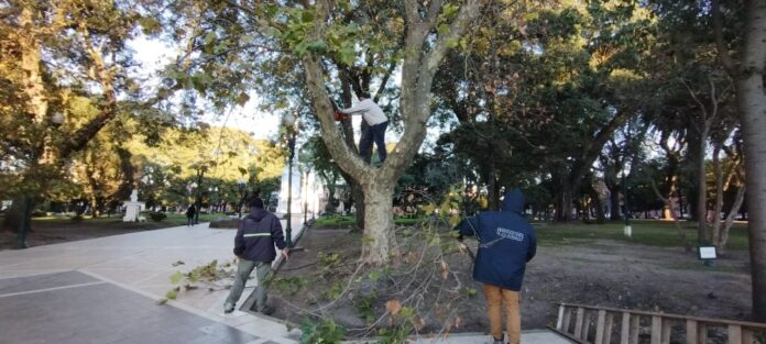 WhatsApp Image 2024-08-28 at 12.12.53