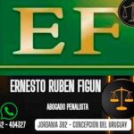estudio-figun