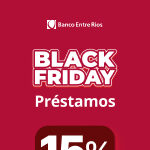 BER_BlackFridayPP_Banner_Web_150X270_1
