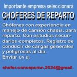 chofer reparto