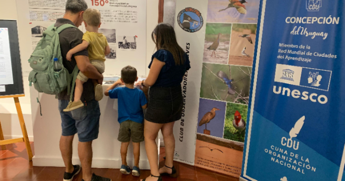 Screenshot_20250208-115225~2