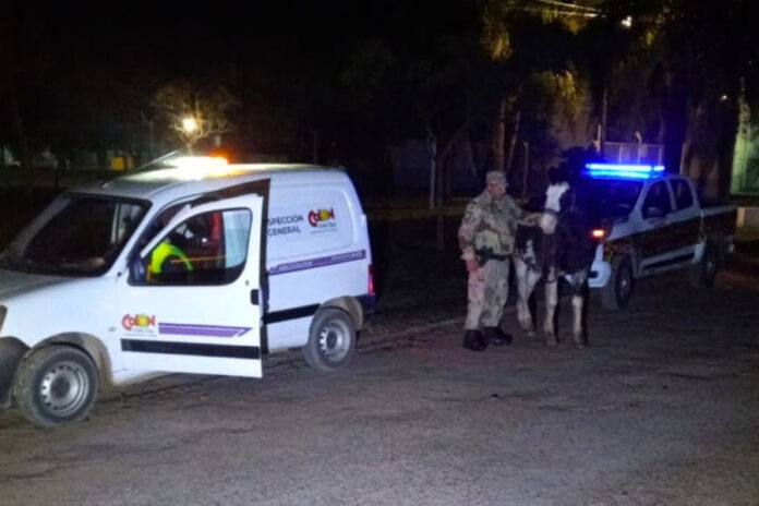 RETENCIÓN-CABALLOS-SUELTOS-