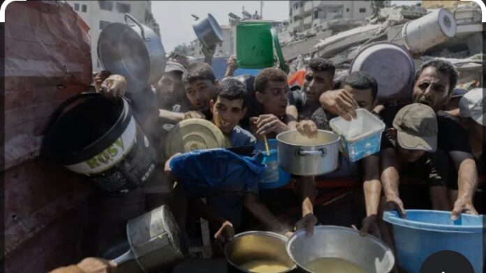 Screenshot_20250814-093227~2