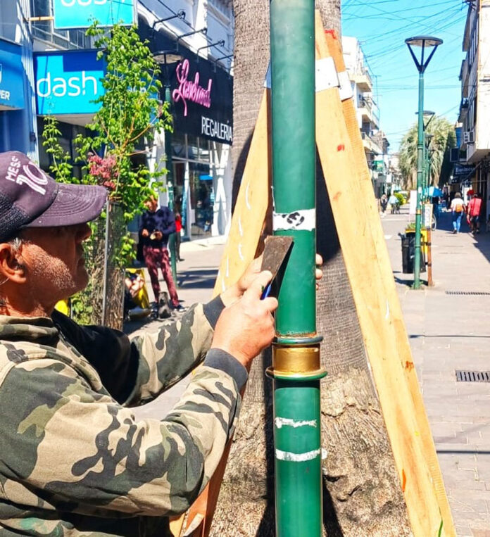 limpieza-columnas-peatonal