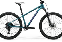 El dueño reconoció su bicicleta robada y dio aviso a la Policía