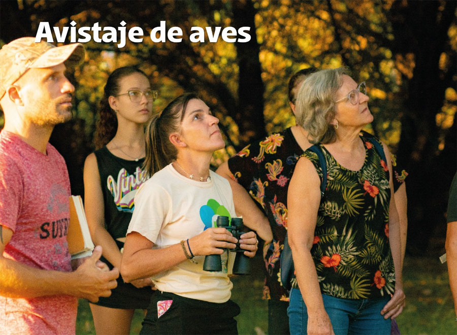 Villa Elisa: Avistaje de aves, una propuesta para disfrutar del verano en el Museo