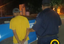 Cayó el presunto ladrón del vivero: Lo atraparon caminando por la calle durante la noche