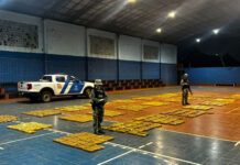 Misiones: Prefectura secuestró más de 900 kilos de marihuana