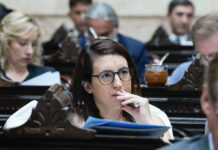 Marclay: «Bajar la edad de imputabilidad sin reformar el sistema no arreglará nada»