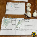 San Salvador: Cayó un vendedor de droga tras un allanamiento de la División Drogas Peligrosas