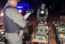 Trasladaban más de 228 mil atados de cigarrillos en dos vehículos que evadieron los controles de la Fuerza en Misiones