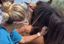 El Municipio realizó un operativo interdisciplinario en el barrio 100 Viviendas