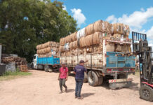 Noticias de Villa Elisa