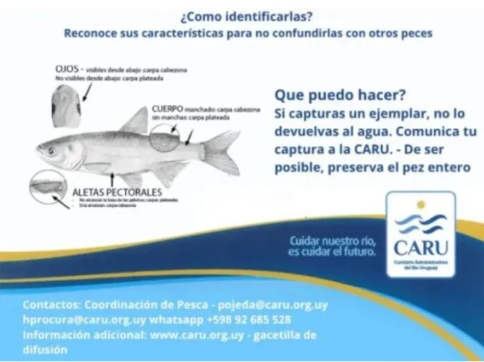 656188523_1740965477293378_4993107752783672513_n