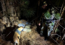 Prefectura secuestró más de 268 kilos de droga