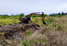 Continúa el mantenimiento de desagües pluviales: Trabajos en Las Quintas