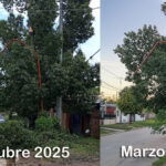 Olvido en el Barrio San Isidro: una cuadra a oscuras desde hace medio año por una rama caída