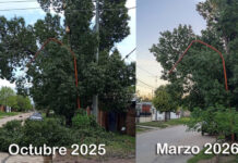 Olvido en el Barrio San Isidro: una cuadra a oscuras desde hace medio año por una rama caída