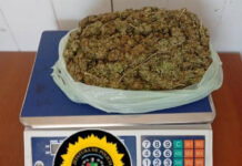 Operativo en Brazo Largo: hallan más de 300 gramos de marihuana ocultos bajo una rueda de auxilio