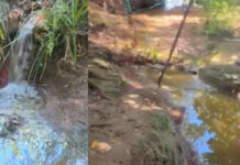 Alerta ambiental en el Arroyo «El Curro»: denuncian vertido de líquidos cloacales y falta de respuestas