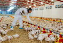 Información de Caseros