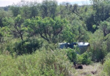 Siniestro en Autovía: una conductora de Buenos Aires volcó su auto en el kilómetro 272