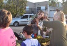 Realizarán una Jornada Integral en la Plaza Las Mandarinas