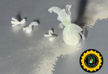 Operativos contra el narcomenudeo en Concordia: secuestran marihuana y cocaína en dos procedimientos