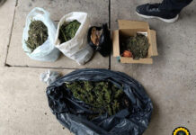 Victoria: Investigaban un robo y terminaron desbaratando un punto de venta de drogas