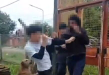 Violencia en las escuelas: En desafío que exige abordaje integral y participación familiar