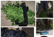 Detenido por amenazas tentativa de robo en flagrancia y tenencia de estupefacientes