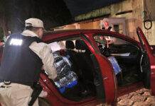 Corrientes: condenaron a dos hombres por transportar más de 280 kilos de marihuana en un auto que atropelló y mató a una docente