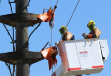 Enersa realizará tareas de mantenimiento en la línea de alta tensión Chajarí-Los Conquistadores