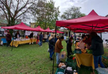 La Feria en tu Barrio tuvo una nueva edición y vuelve a Plaza Columna
