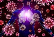 El clima emerge como actor clave en la transmisión de la Influenza