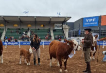 La Cabaña La Fraternidad obtuvo destacados premios en la Exposición Rural de Palerm