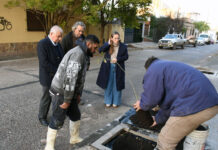 Cuidémoslos entre todos: Nueva instancia en la plantación de 100 árboles en la ciudad