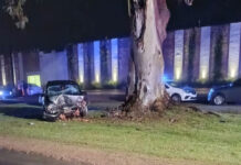 Un joven de Urdinarrain resultó herido tras chocar de frente contra un árbol en R.P.20 Frente al Cementerio