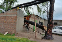 Tormenta huracanada provocó graves destrozos y dejó a toda Concordia sin luz