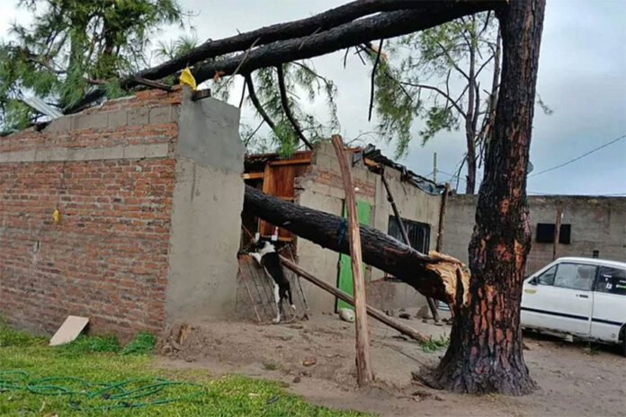 cida