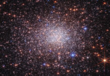 Columna de Astronomía- ¿ Conoce Terzan 5 ?